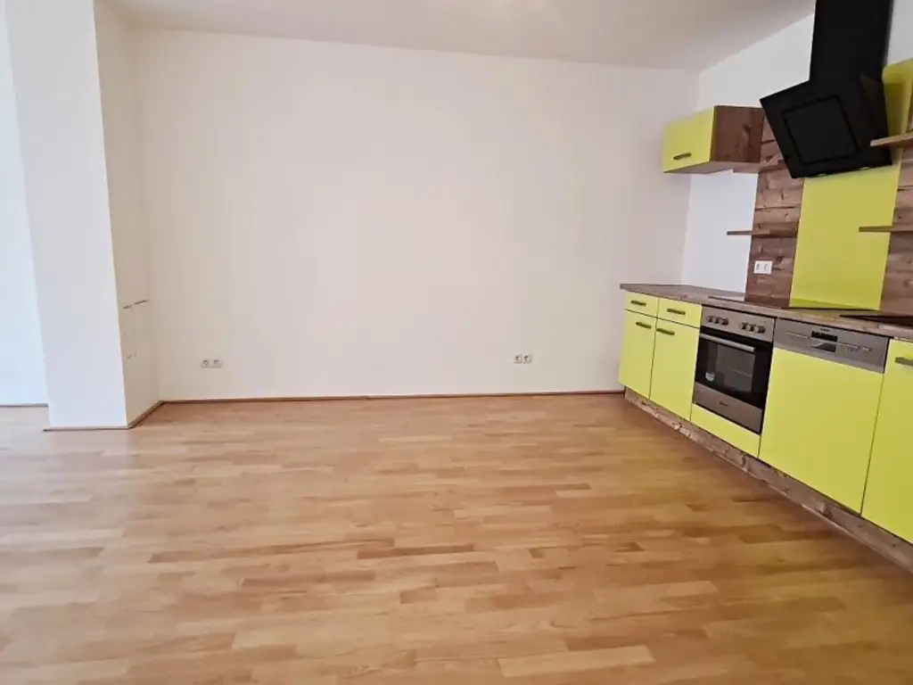 EIGENGARTEN, LORYSTRASSE, 75 m2 Neubau mit 23 m2 Garten, 2 Zimmer, Wohnküche, Wannenbad, Parketten, 1. Liftstock