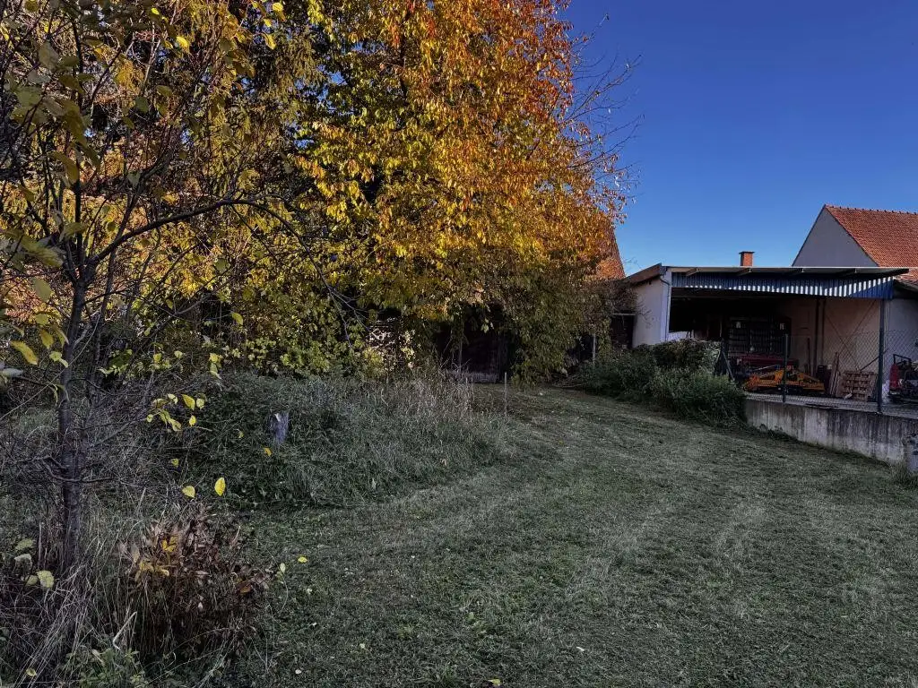 "Ein Grund zum Bleiben"