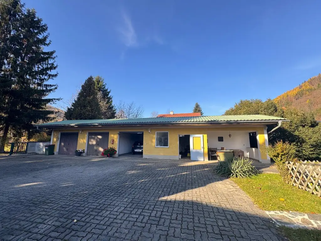 Sanierungsbedürftiges Mehrfamilienhaus mit großem Grundstück und hoher Bebauungsdichte