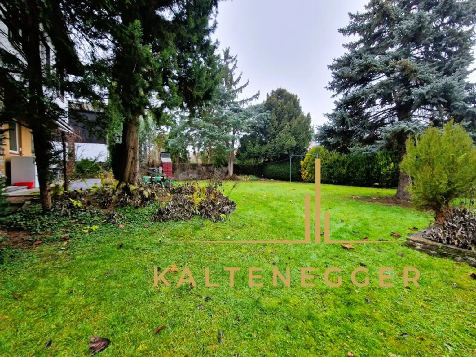 Gartenfläche hinter dem Haus