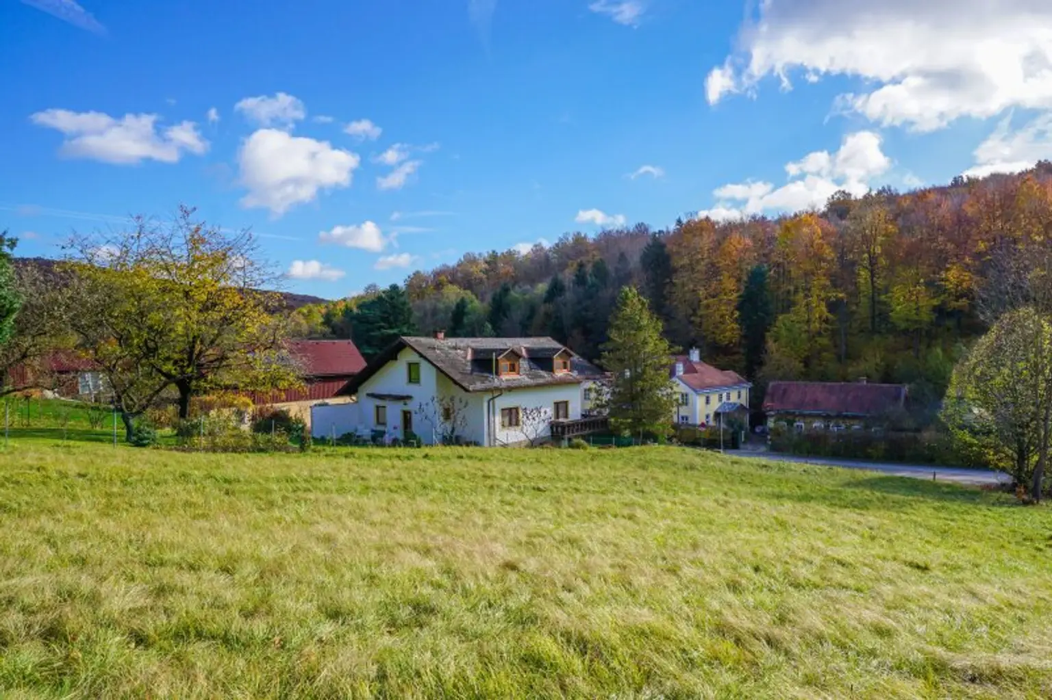 Großzügiges, naturnahes Grundstück in sonniger Ruhelage und mit herrlicher Aussicht