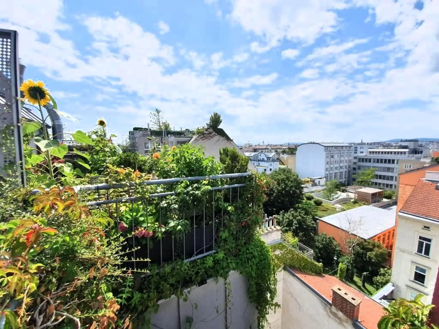 Terrasse - Dachgarten