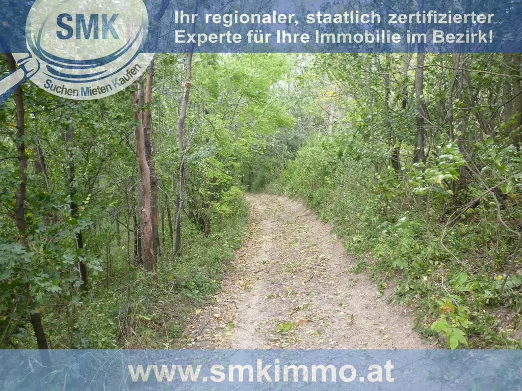 Waldgrundstück Nähe A5!