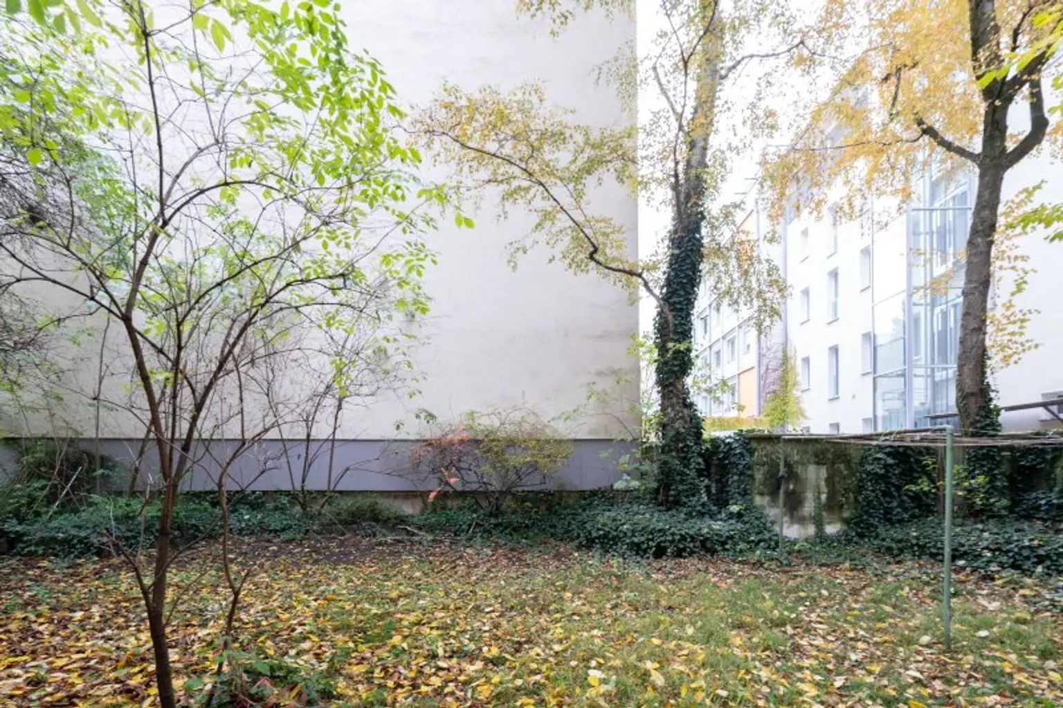 Stark sanierungsbedürftige 2-Zimmer-Wohnung in Toplage der Linzer Innenstadt