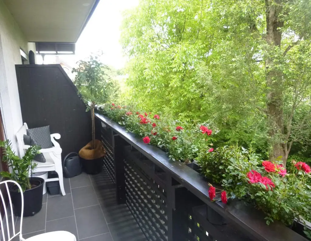 Salzburg Riedenburg: Oase der Ruhe 33,64 qm Garconniere mit 5 qm Balkon, sonnig, inklusive Tiefgarage