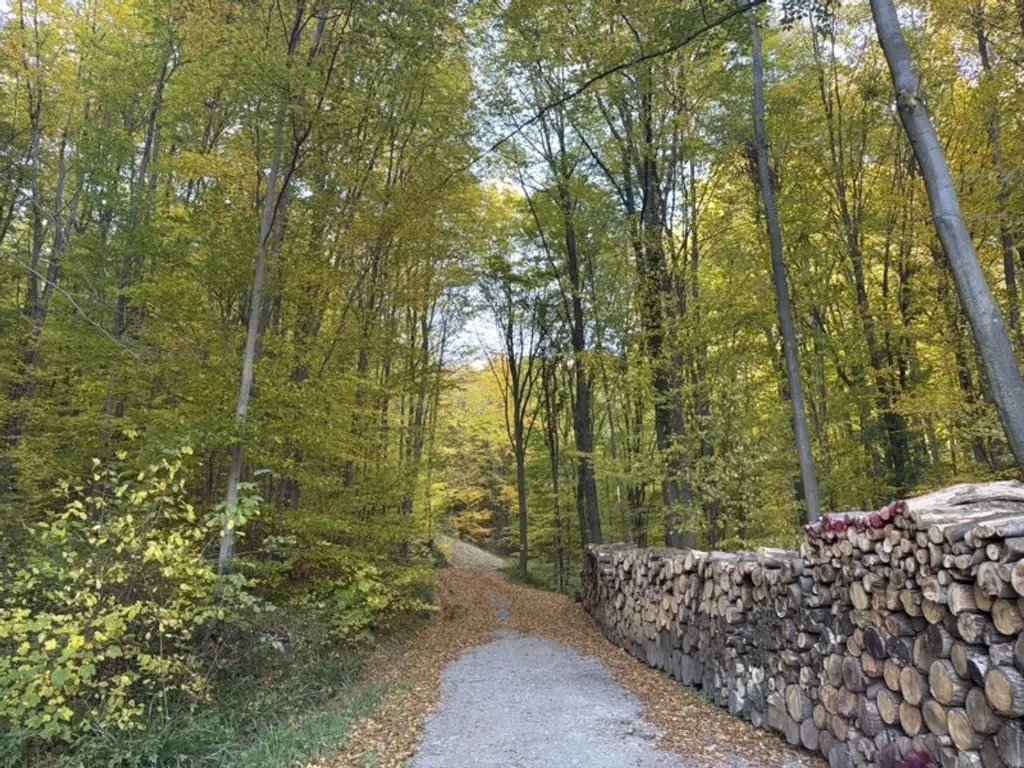 Beletage in Waldrandlage, große Terrasse, Gartennutzung, Carport, energieeffizient, Grünblick