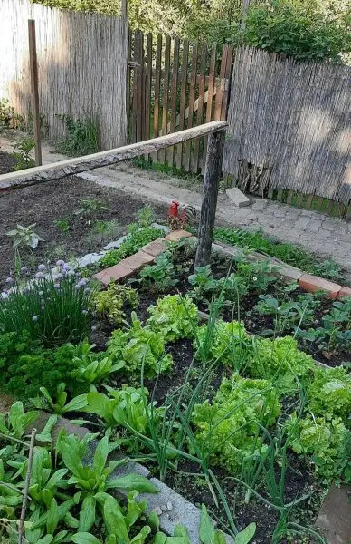 Selbstversorger Hof für die ganze Familie in ruhiger Lage und tollem Fernblick!