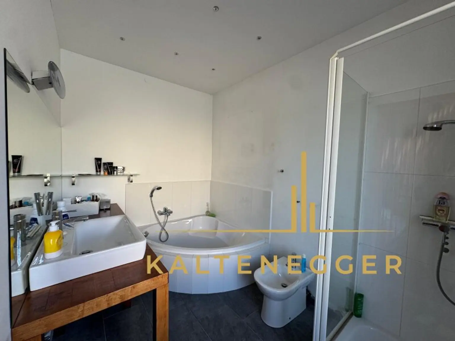 Sonnenbeschienenes Grundstück mit Blick auf die Hohe Wand - ein ländliches Mehrfamilienhaus und ein Einfamilienhaus