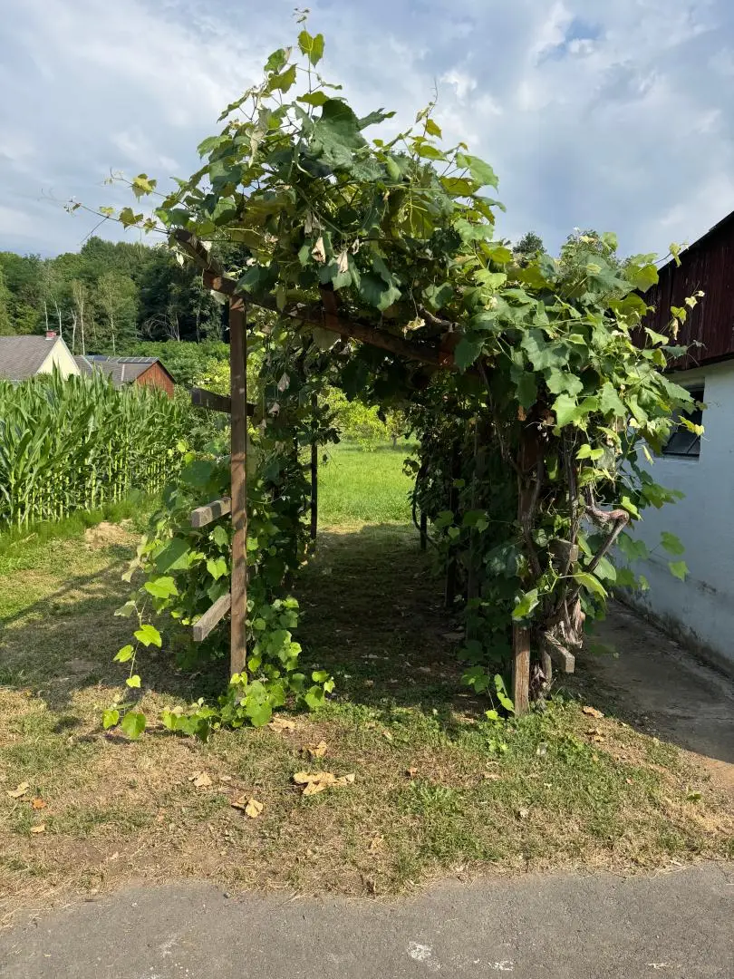 Gepflegter Bungalow auf dem Land mit großzügigem Grundstück
