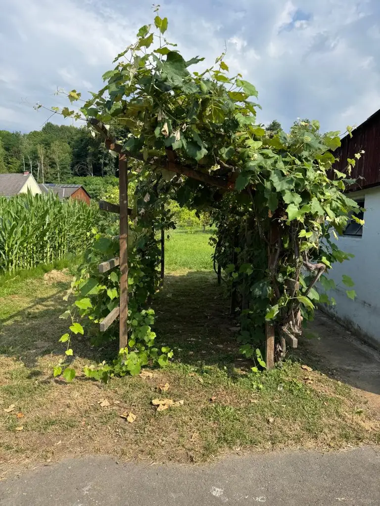 Gepflegter Bungalow auf dem Land mit großzügigem Grundstück