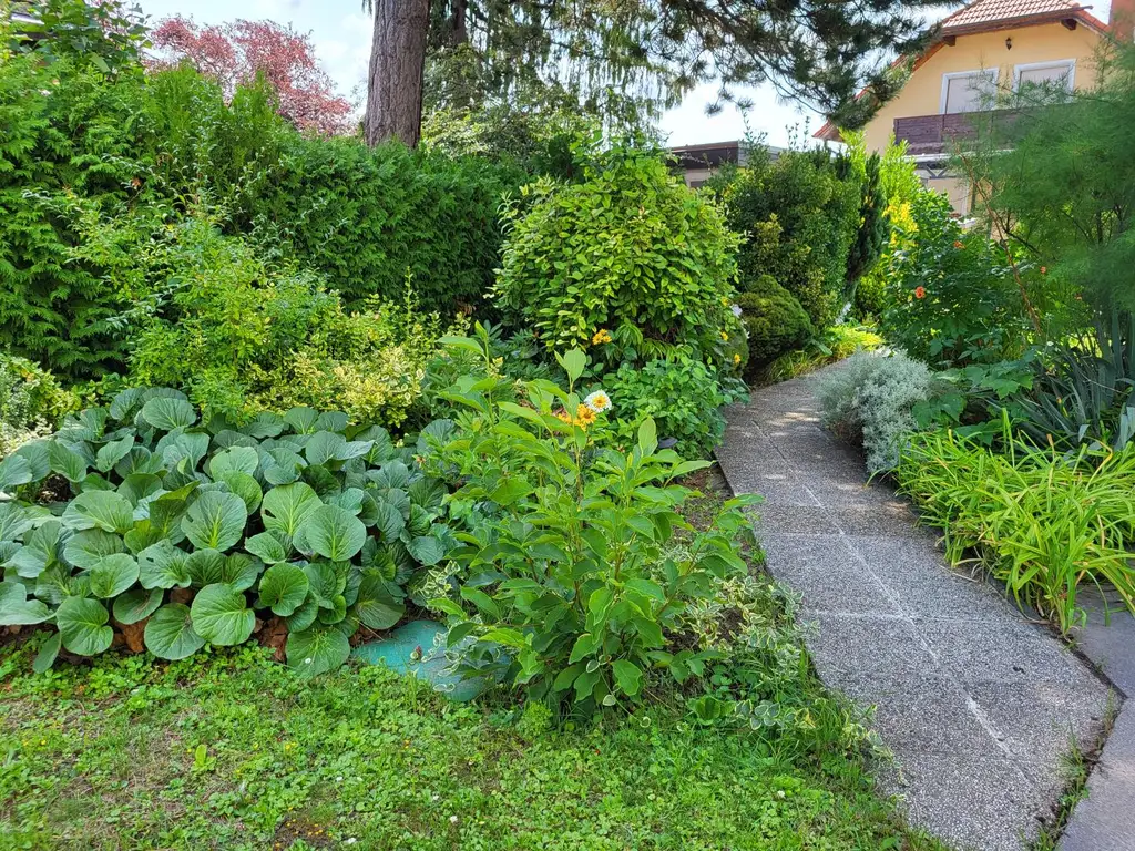 ENTZÜCKENDES HÄUSCHEN AUF TRAUMHAFTEM BAUGRUND