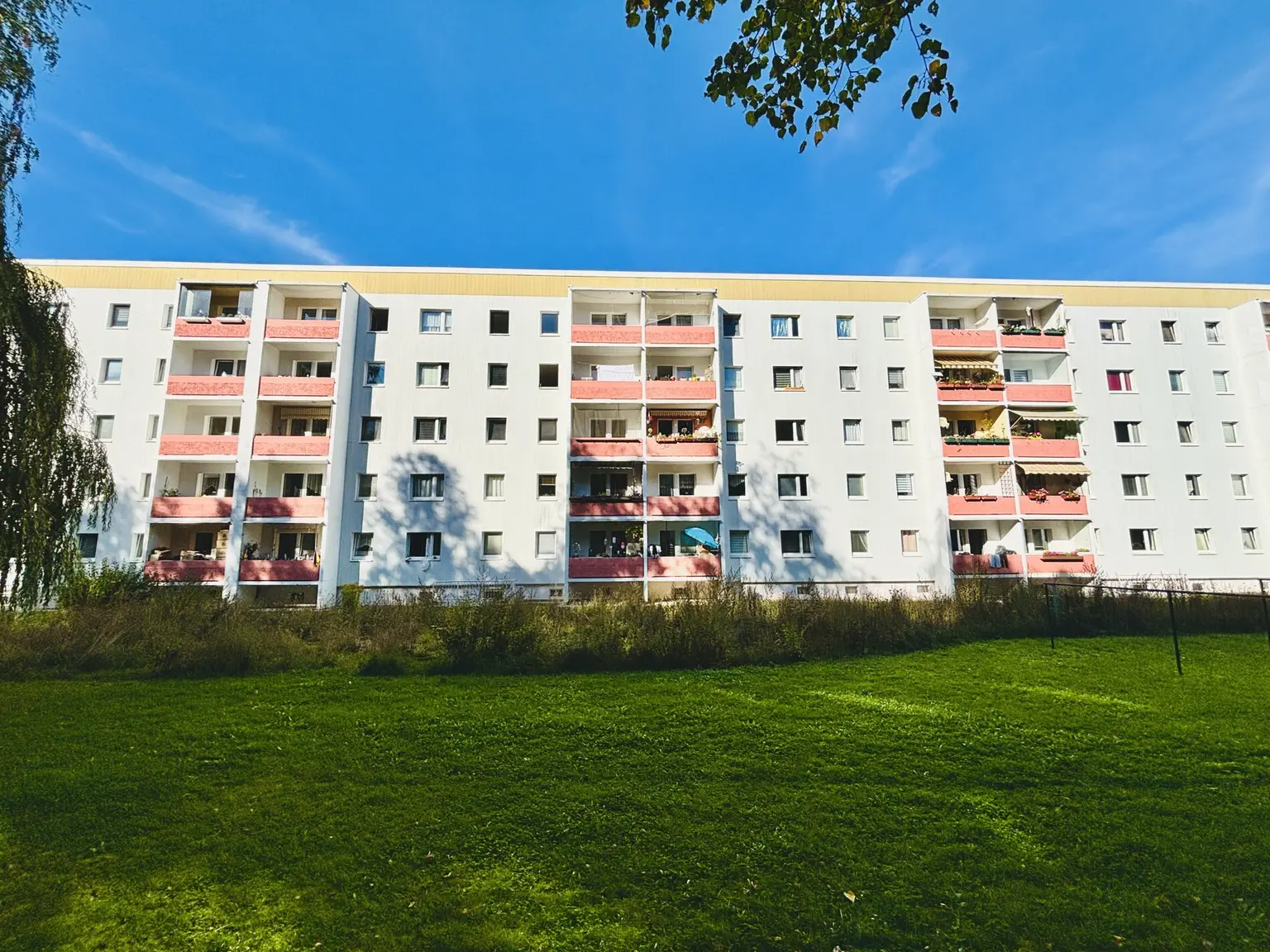 Rückansicht
