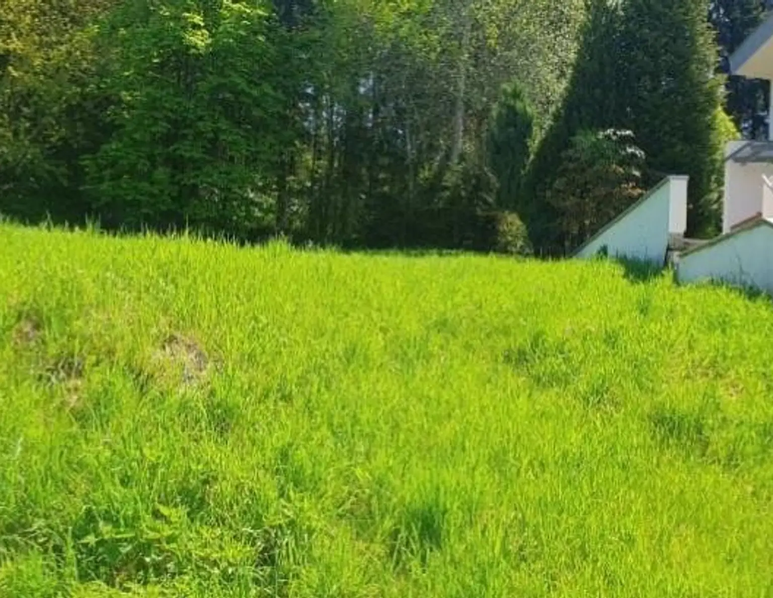 Baugrundstück für Doppelhaushälfte