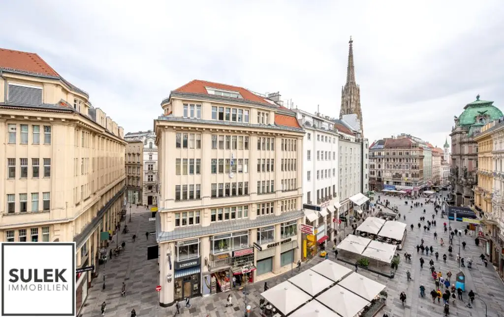 VIDEO-TOUR: traumhafte 3 Zimmer DG-Wohnung mit großem Wohnsalon in Bestlage * mit Blick zum Stephansdom *