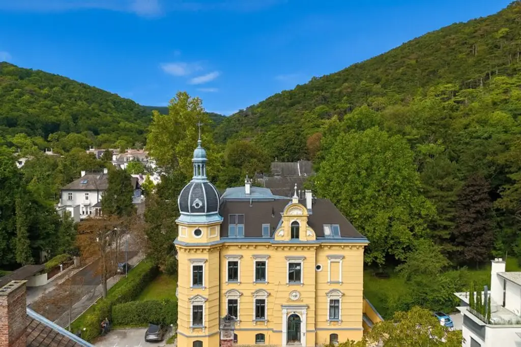 Dachgeschoss-Turm-Wohnung mit 5 Meter Raumhöhe | ca. 2.000 m² Garten zur allgemeinen Nutzung I freie Mietzinsbildung I
