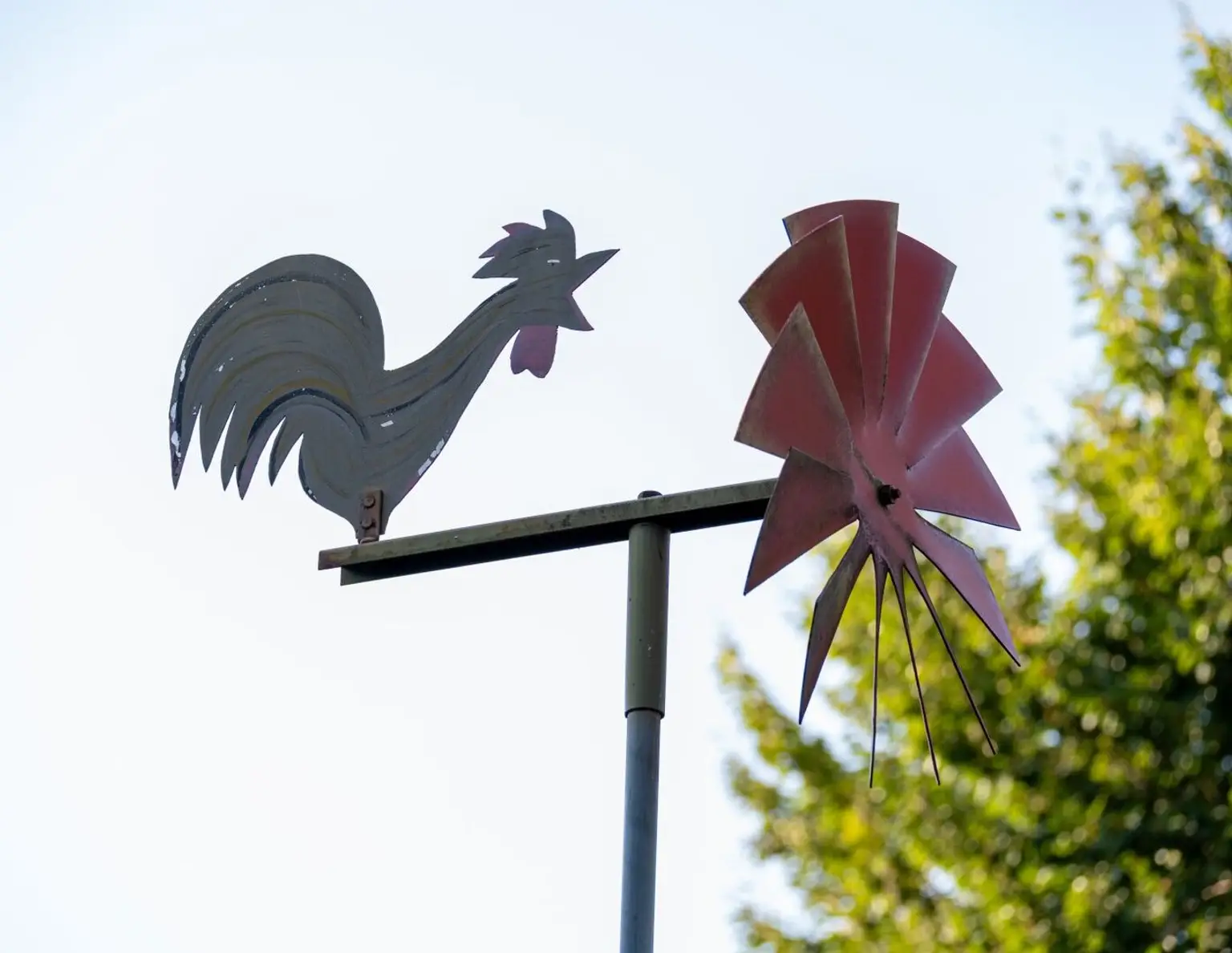 FAMILIENGLÜCK unter SCHWARZKIEFERN | Gewidmetes Baugrundstück im Zentrum von Velden am Wörthersee