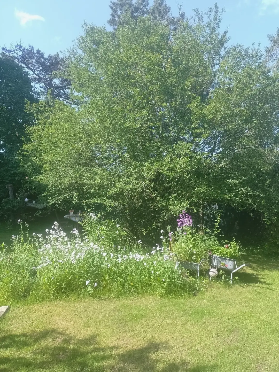 Natur pur , tolles Haus