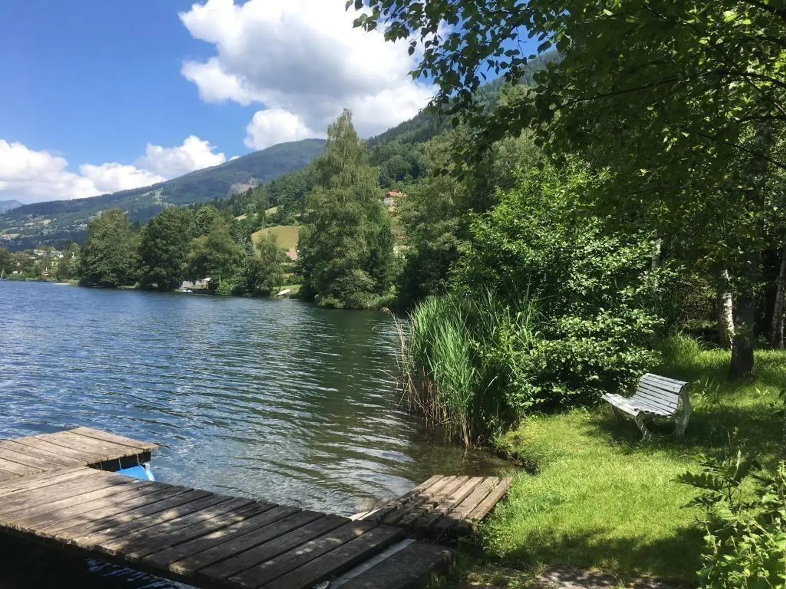 Natur pur am See