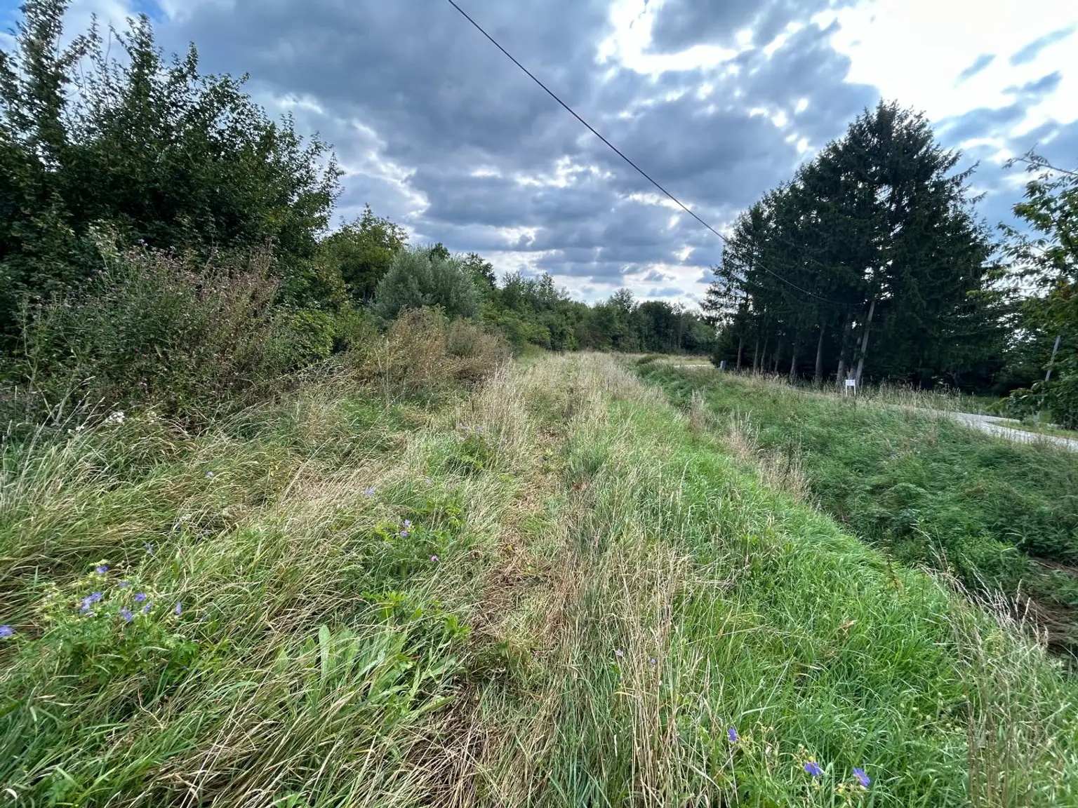 Kleinsitzendorf: Baugrund voller Möglichkeiten – Traumplatz, Traumidee, Traum wird wahr!