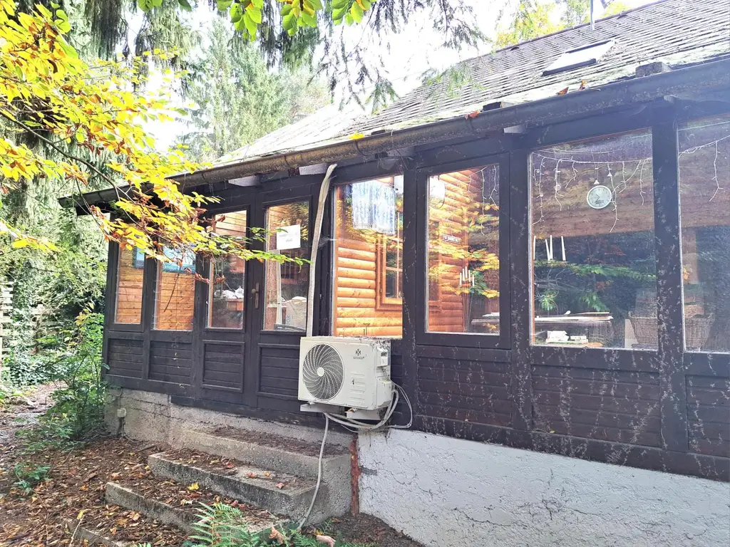 IMMOBILIE IM DORNRÖSCHENSCHLAF