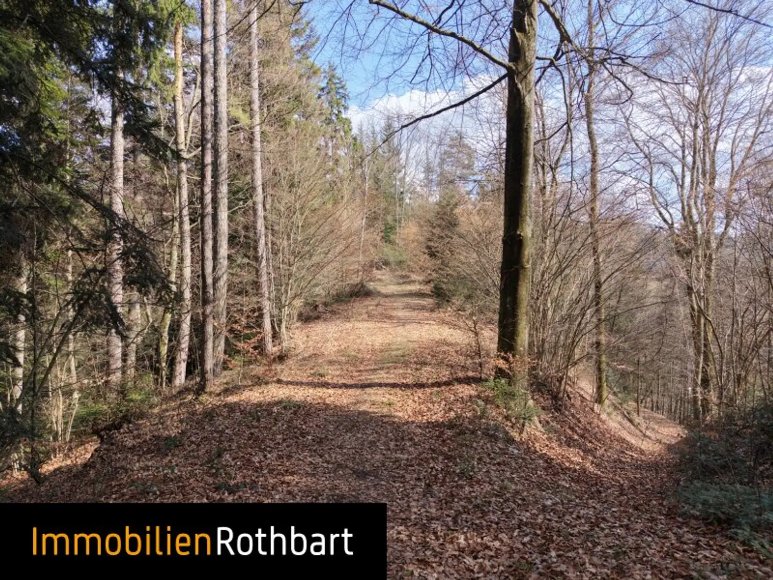 Wald mit Wiese und Zinshaus!