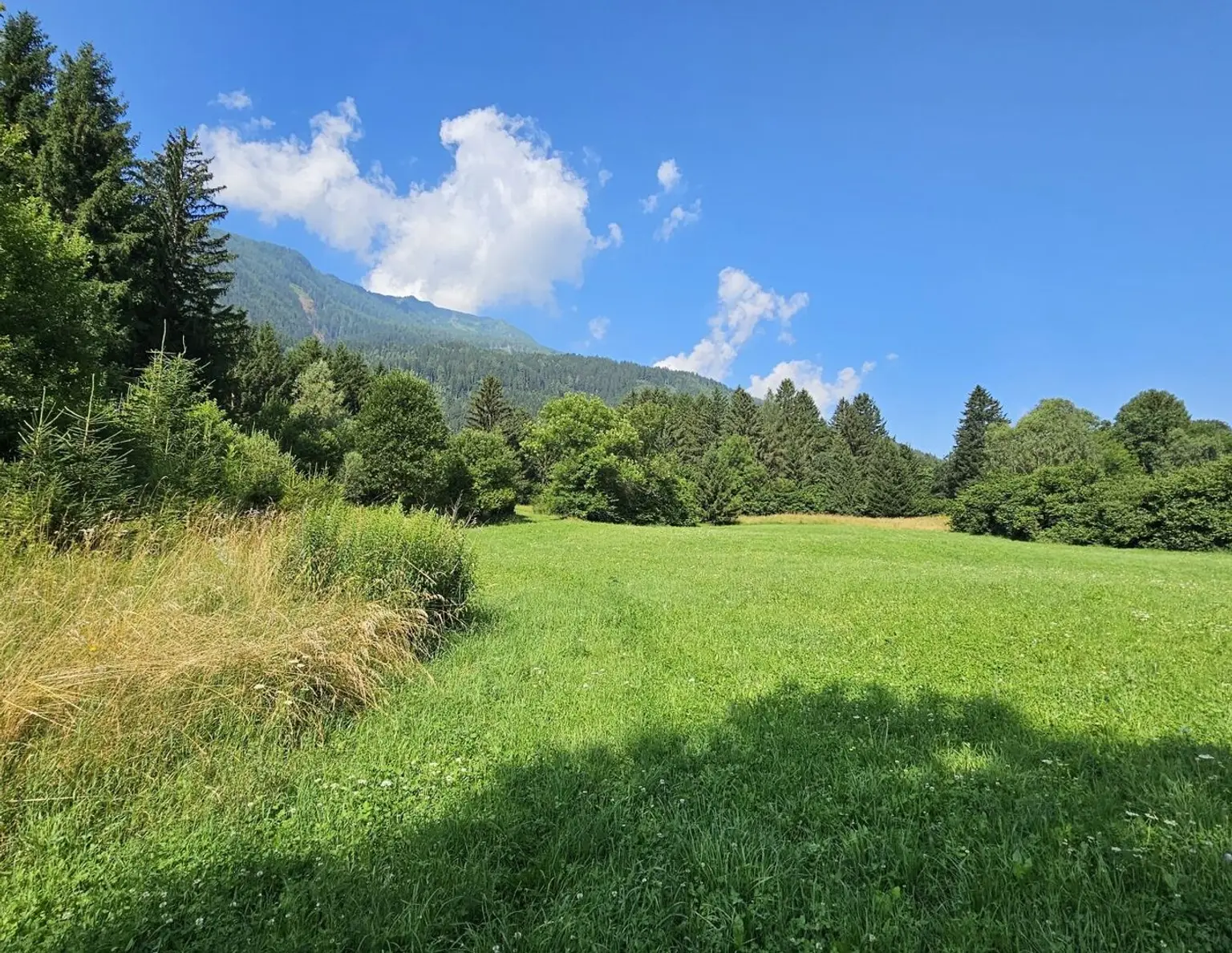 1 Grundstück - Ihr neues Zuhause in einer malerischen Lage in Penk. Ideal auch für Tierhaltung/Landwirtschaft.