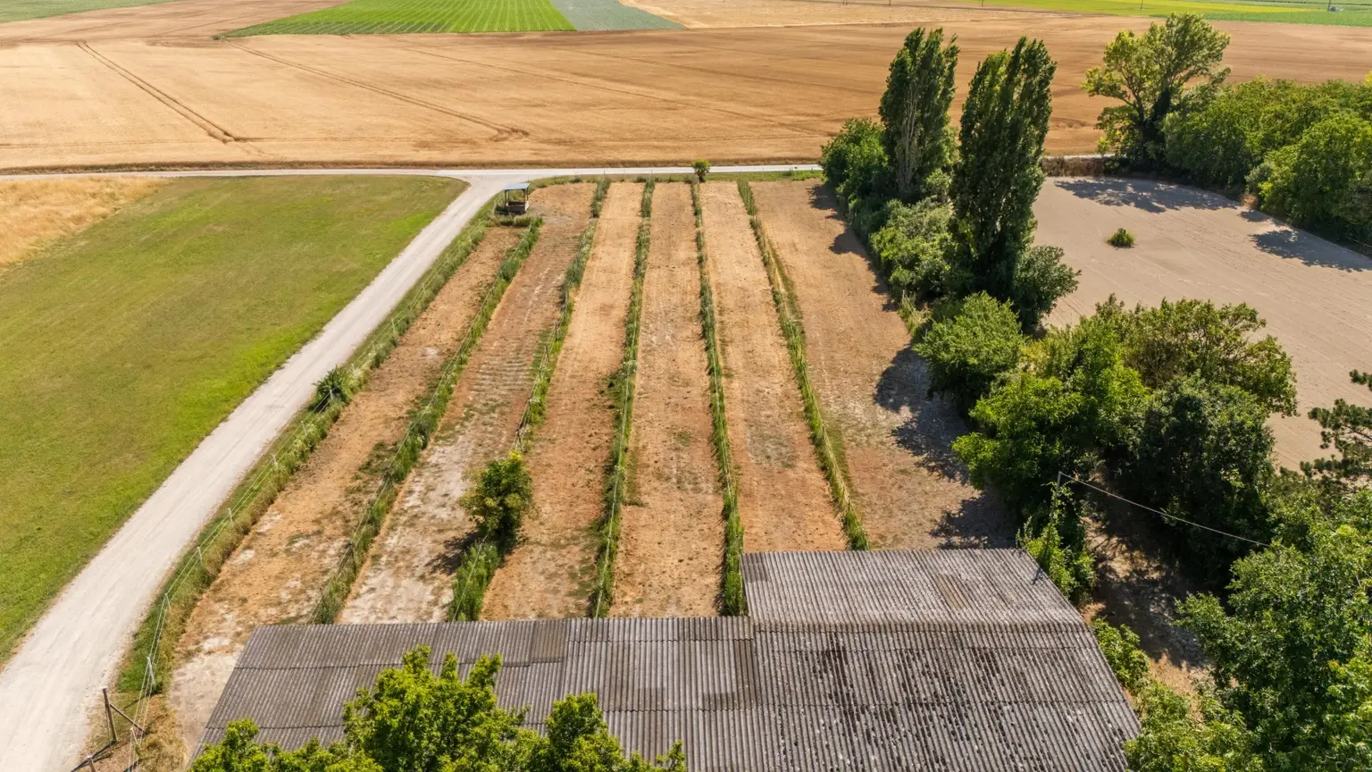 "Großzügiges Grundstück mit Pferdehof und sanierungsbedürftigem Haus – nur Minuten von Wien entfernt"
