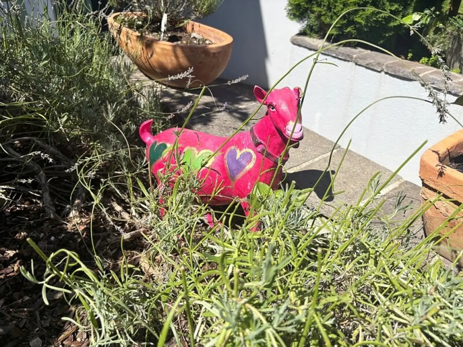 Sonnige großzügige Doppelhaushälfte - 5 Zimmer - toller Garten