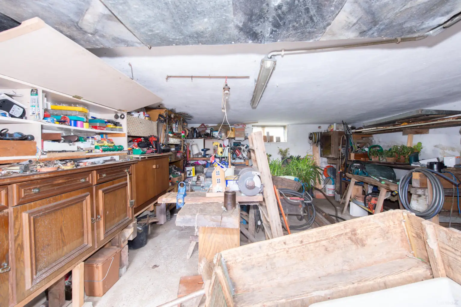 Wörth an der Lafnitz-53