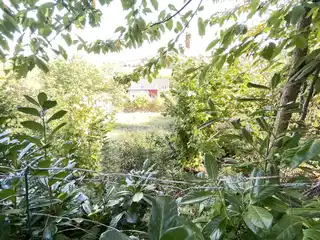 Hinteres_Grundstück