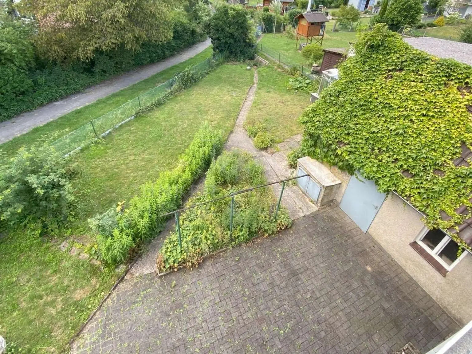 Blick in den Garten