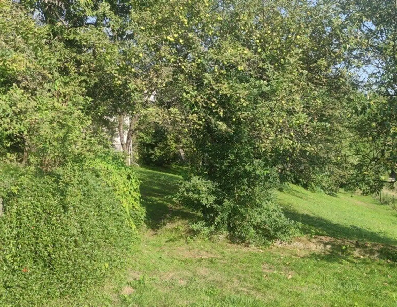 Traumhaftes Baugrundstück in Moosburg, Kärnten - 877 m² für Ihre Wohnträume!