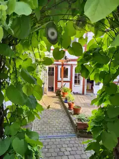 Blick auf den Hof
