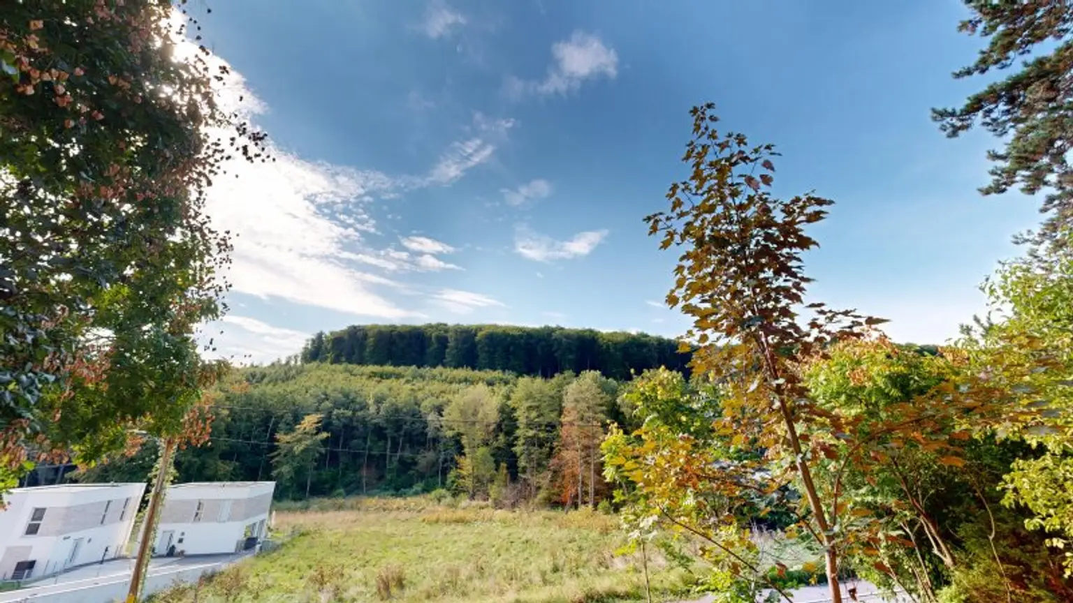 Verborgene Eleganz Haus auf Eigengrund in Maria Gugging