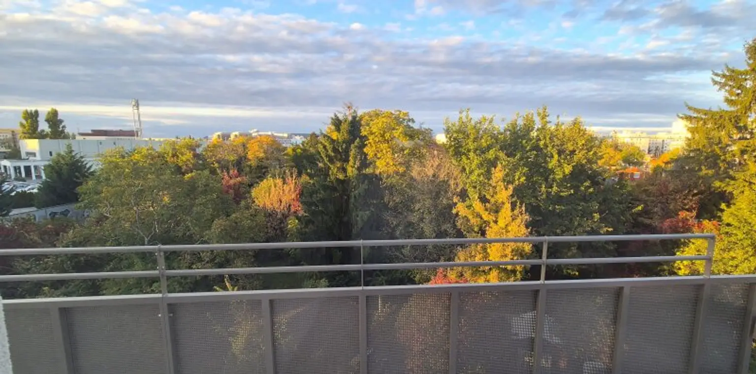 Provisionsfrei: "Das Schmuckstück" - Fertigstellung im Dezember!