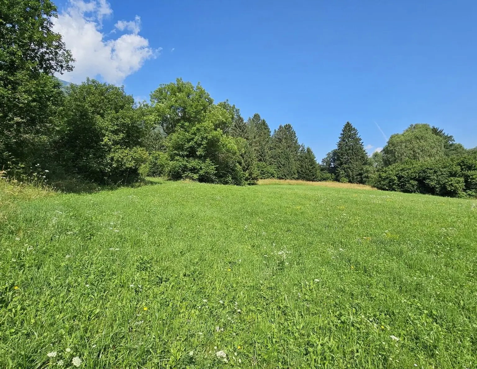 1 Grundstück - Ihr neues Zuhause in einer malerischen Lage in Penk. Ideal auch für Tierhaltung/Landwirtschaft.