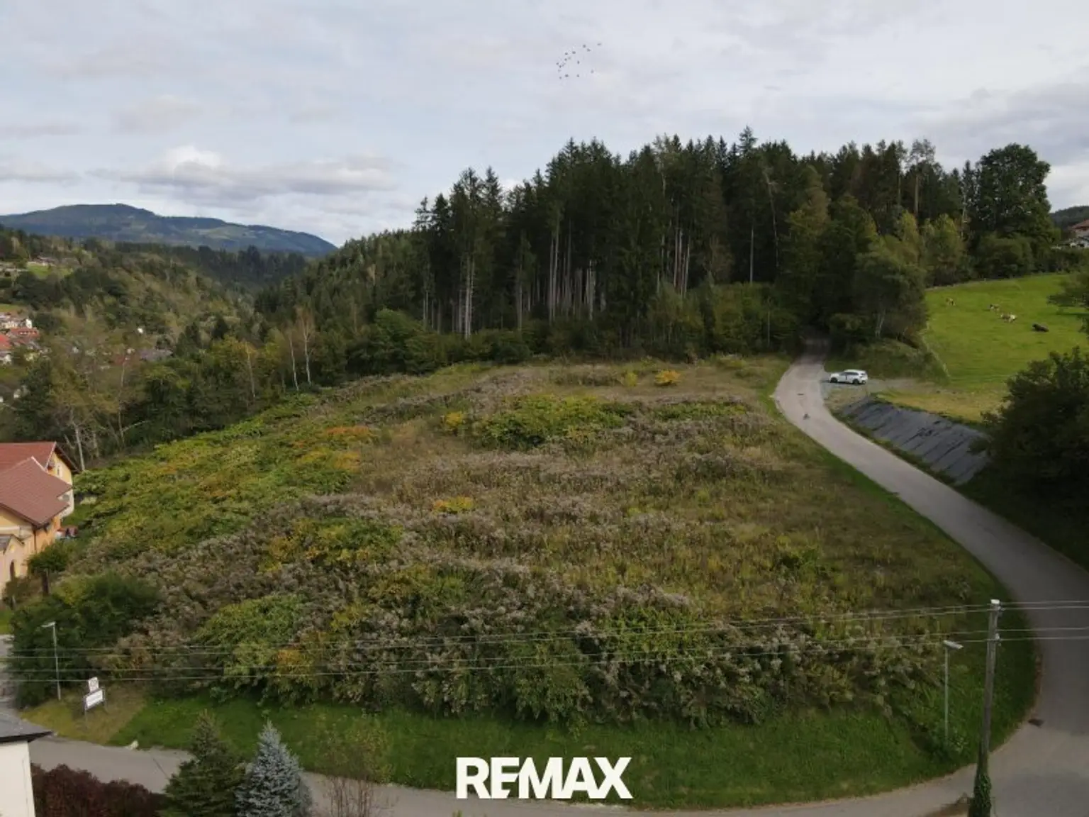 DJI_0041