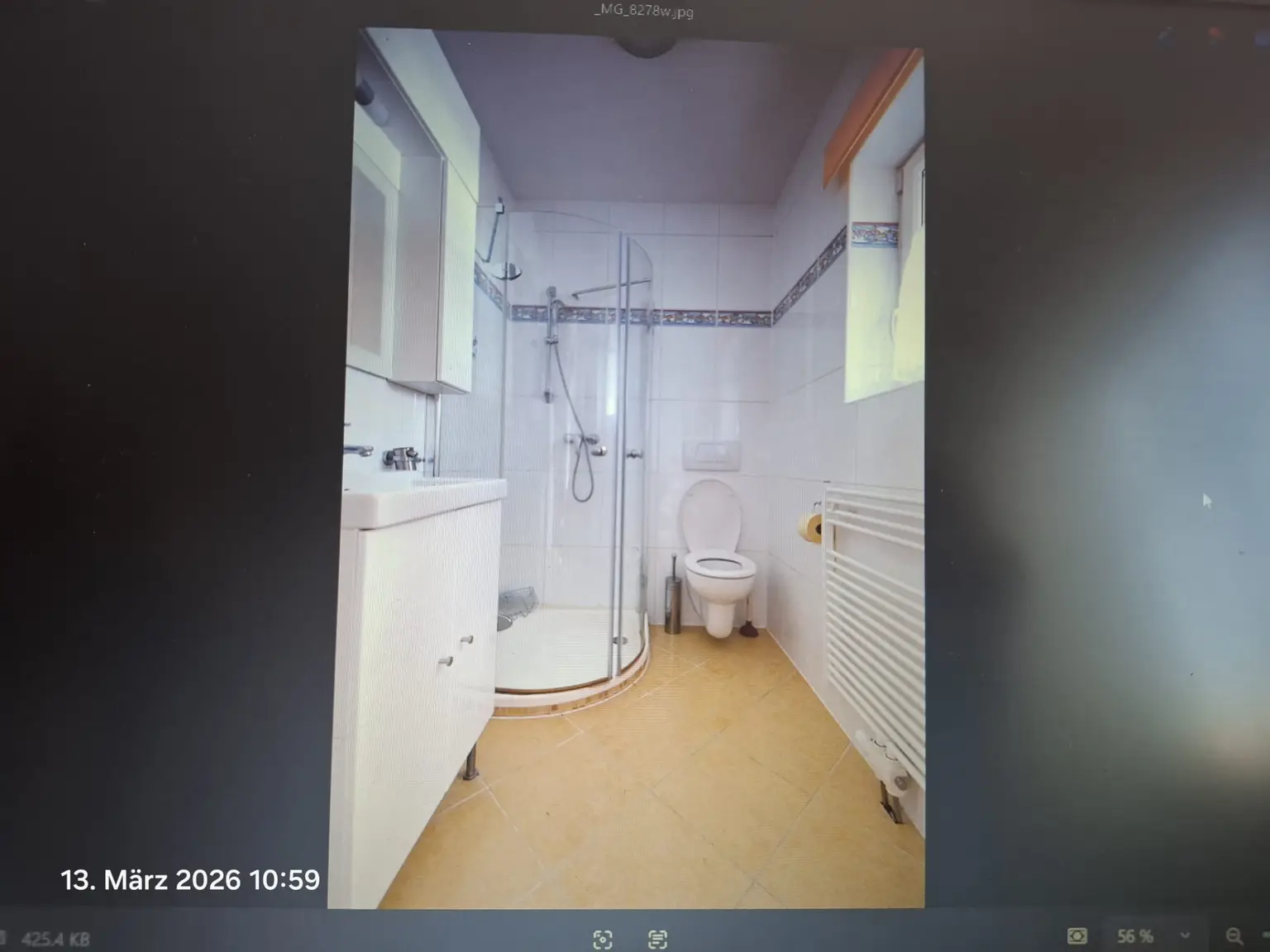 Badezimmer mit Dusche und WC EG