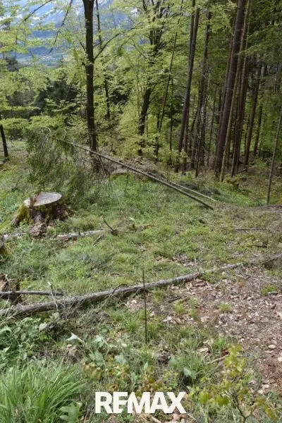 Brennholzvorrat