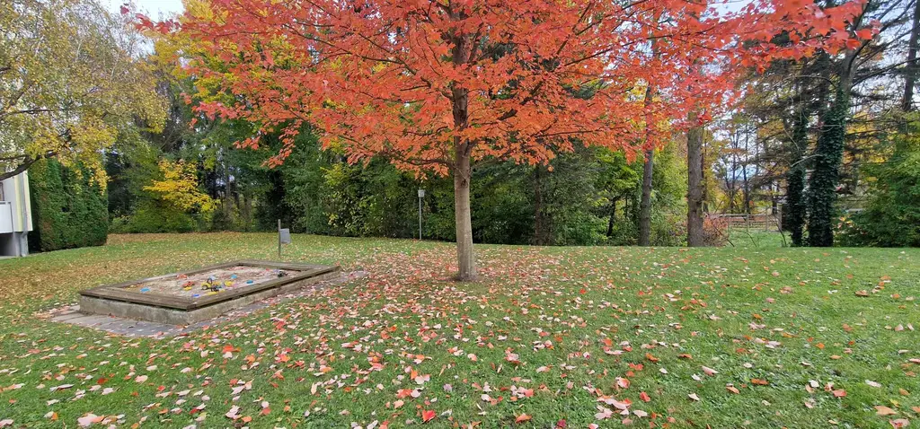 4-Zimmer-Wohnung mit Loggia und Aussicht! Wohntraum mitten in Hartberg