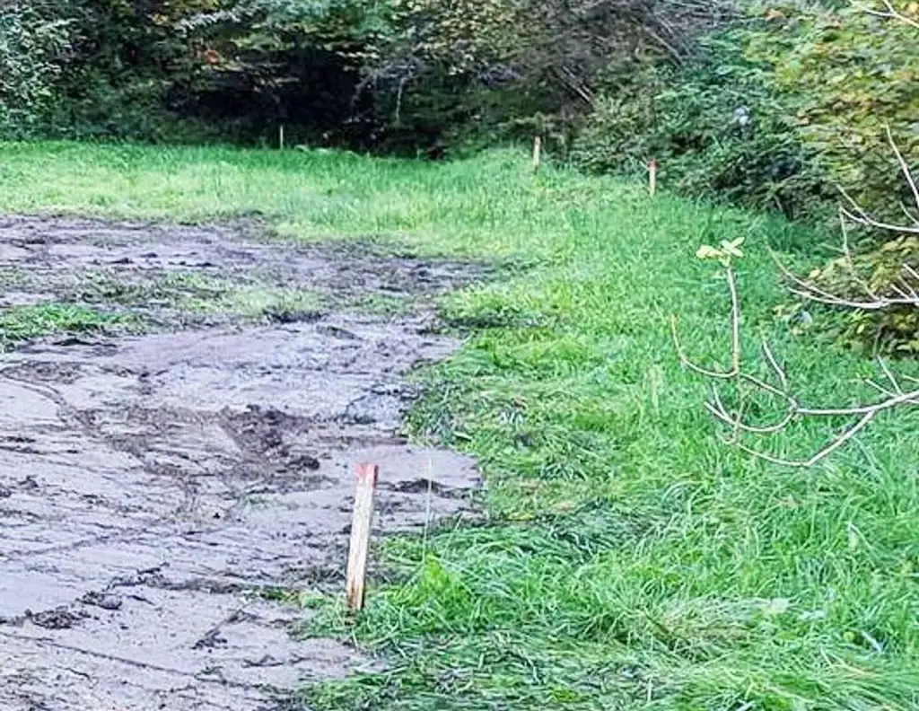 K3 - GROSSES GRUNDSTÜCK IN WALDRANDLAGE mit 1200 m2 Bauland und 1500 m2 Wald in der Gemeinde St. Kanzian