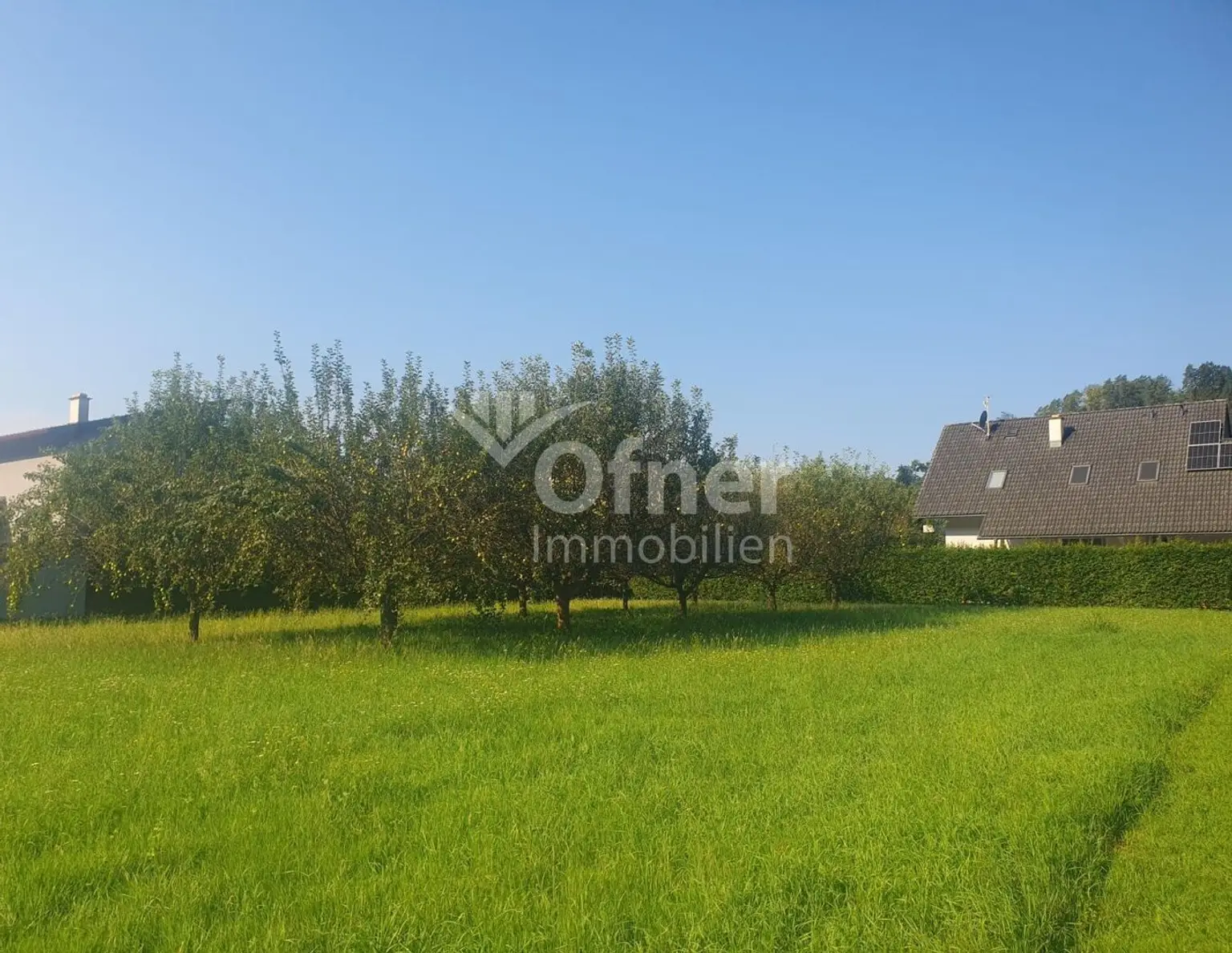 Baugrundstück mit Freiland in ruhiger Stadtrandlage