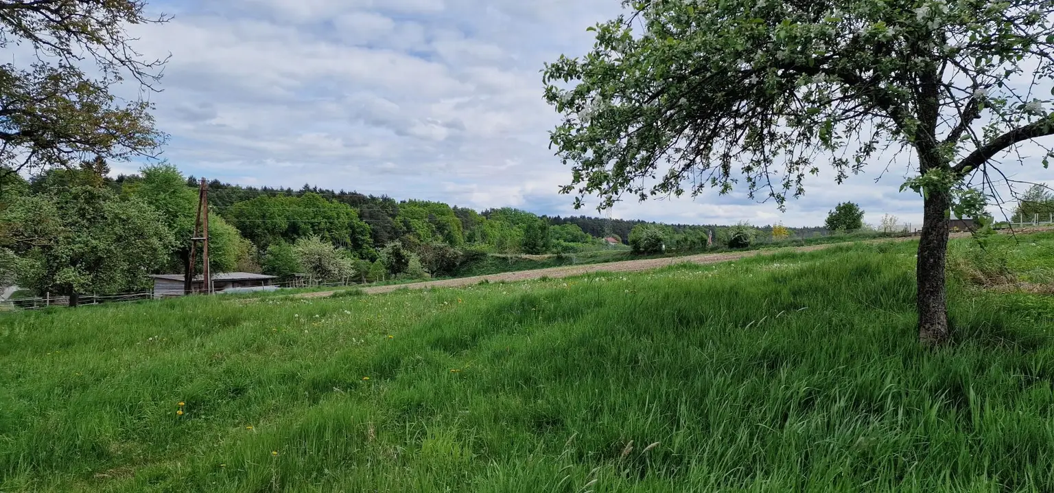 Natur
