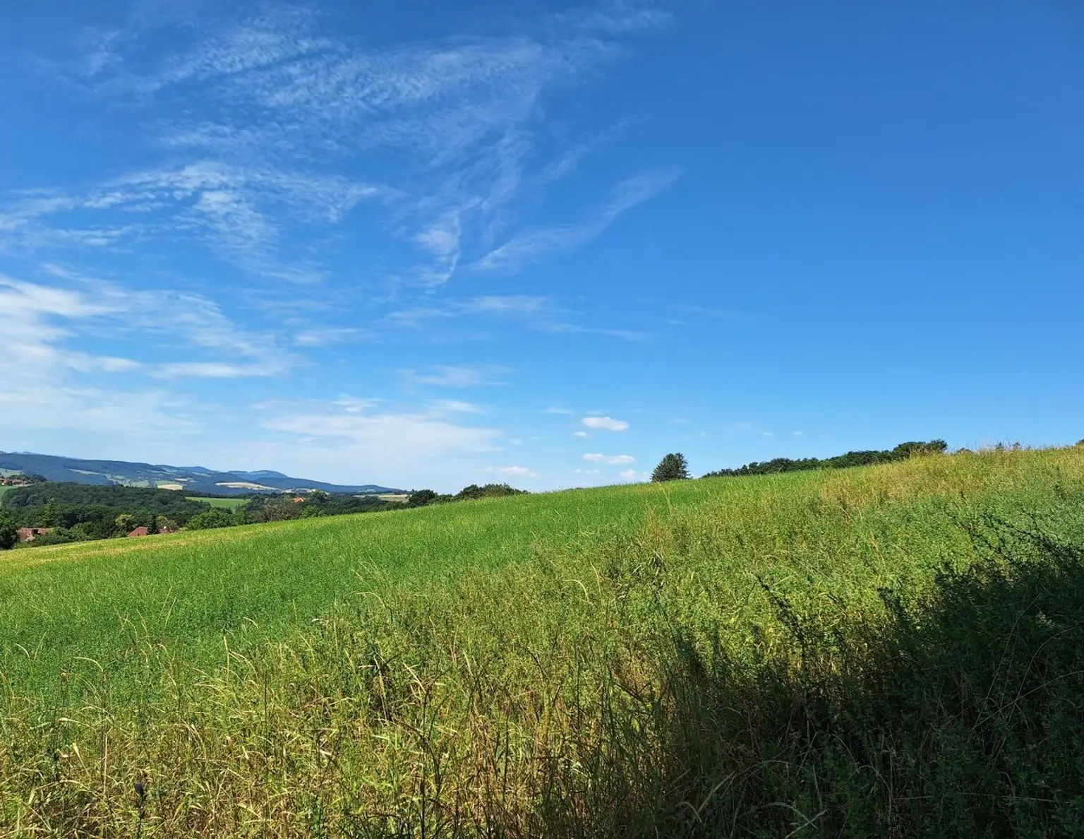 3,4 ha - aneinandergrenzende landwirtschaftliche Parzellen