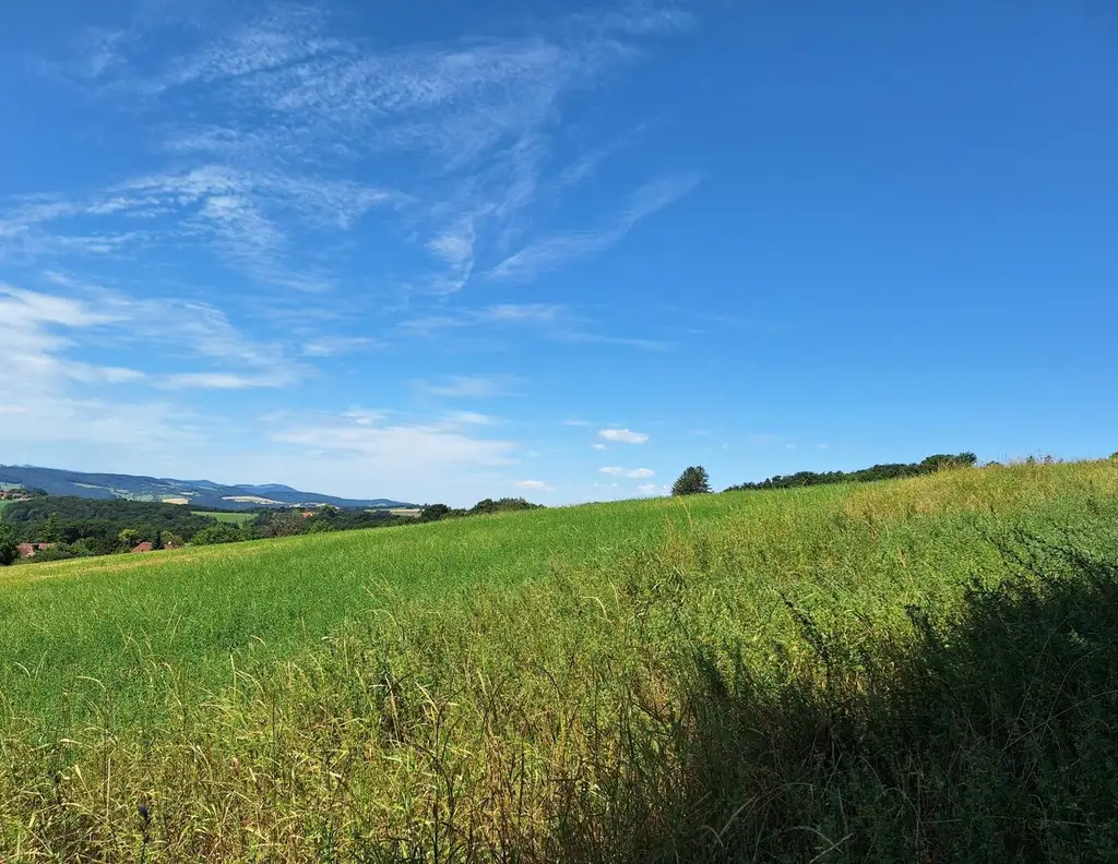 3,4 ha - aneinandergrenzende landwirtschaftliche Parzellen