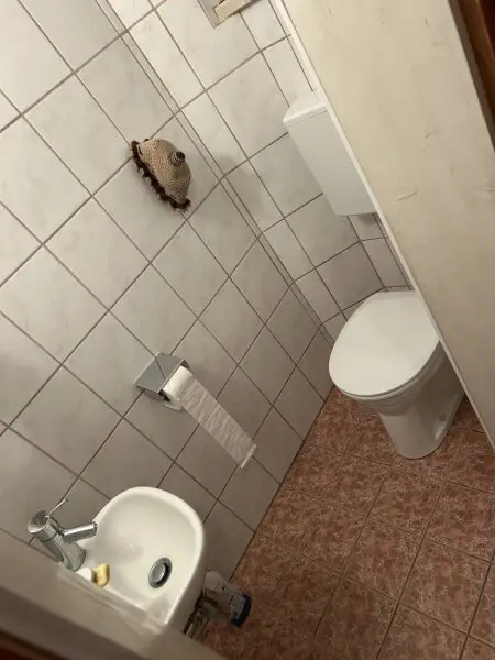 Alt aber saniertes Stadt Familienhaus – Ihr neues Zuhause für 349000 € mit Keller & Carport /  nähe medQuartier-Ärztehaus   BH & HAK Feldkirchen