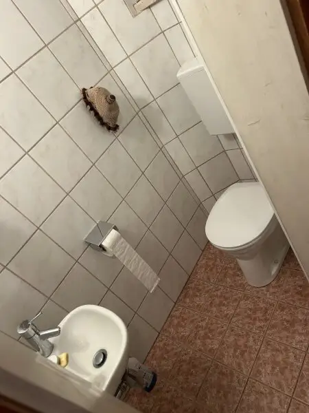 Alt aber saniertes Stadt Familienhaus – Ihr neues Zuhause für 349000 € mit Keller & Carport /  nähe medQuartier-Ärztehaus   BH & HAK Feldkirchen