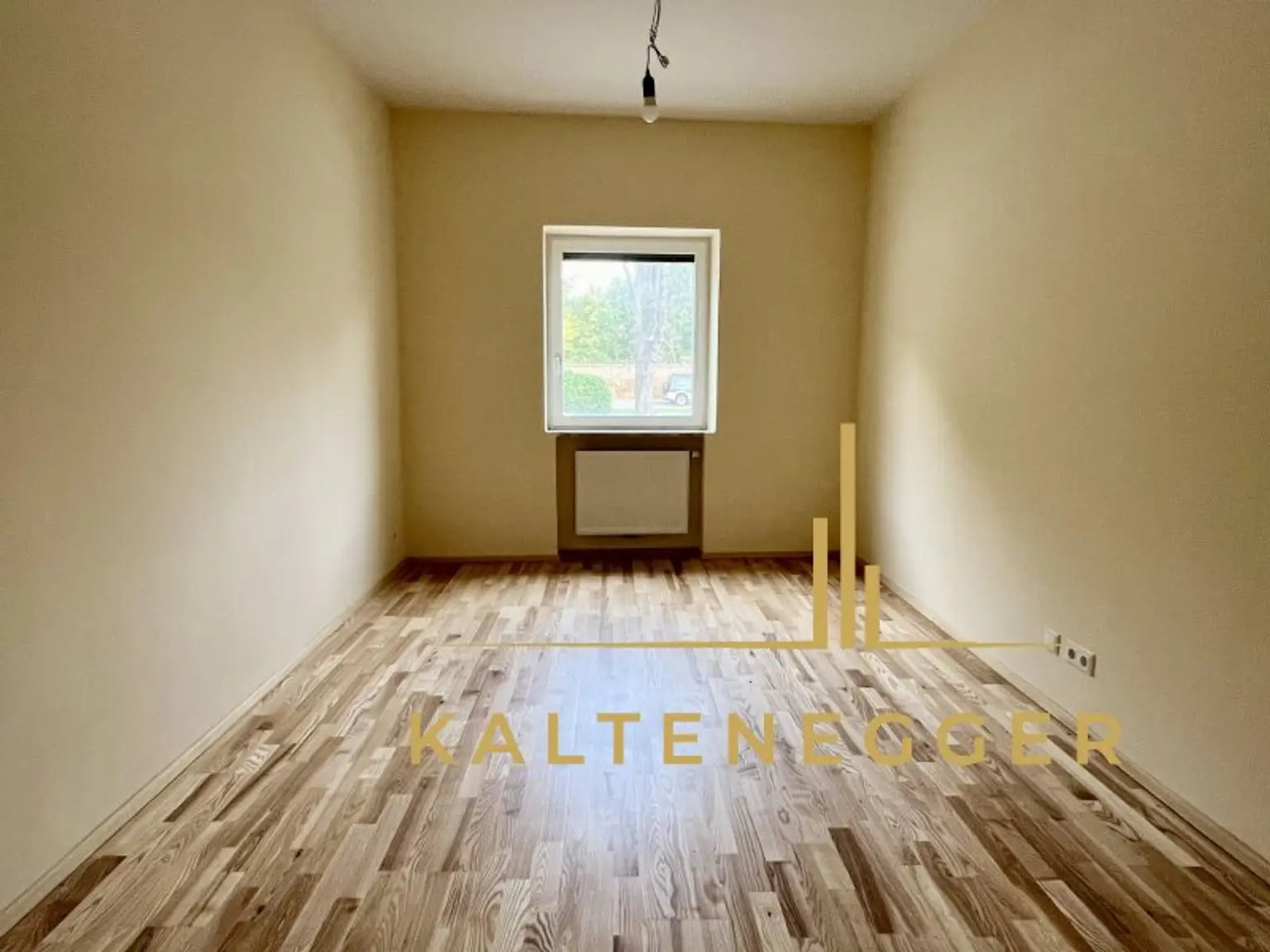 Vösendorf : Büro- und Praxisräume / Zwei sanierte Einheiten