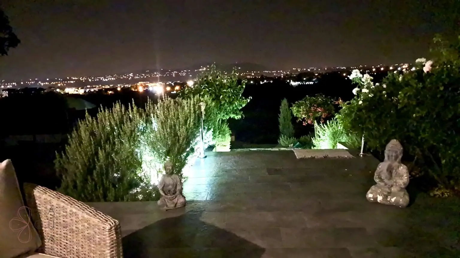 d5583944-df0a-43cb-adf7-45dc7dc5d7c6