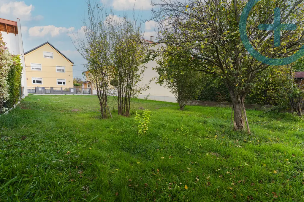 Unberührtes Juwel bei der Lobau